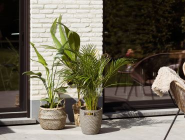 Coolscreen 8 Solar
